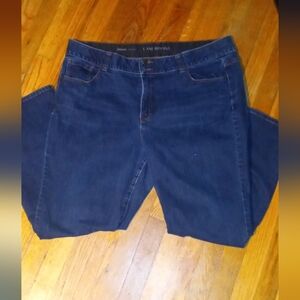 Lane Bryant High Rise Straight Leg Jeans